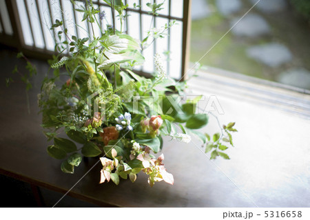 生け花 5316658