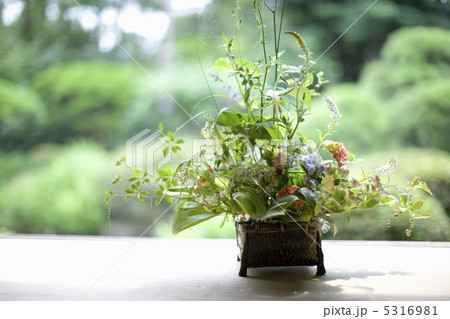 生け花 5316981