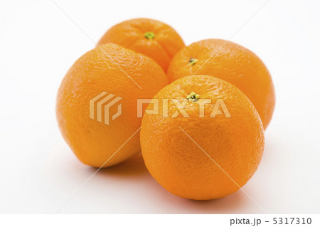 オレンジ オレンジ 5317310