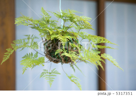 釣忍 釣忍 5317351