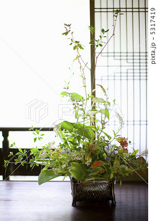 生け花 5317419