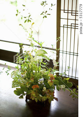 生け花 5317779