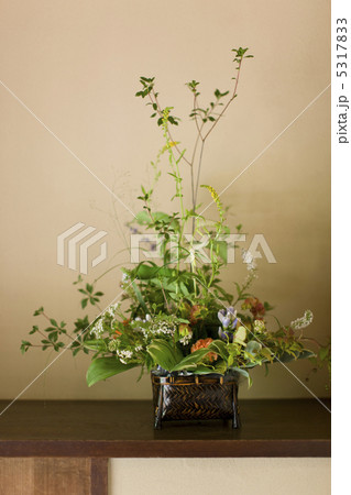 生け花 生け花 5317833