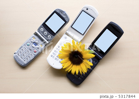 携帯電話 5317844