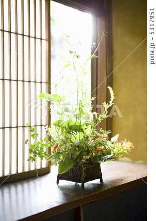 生け花 5317951