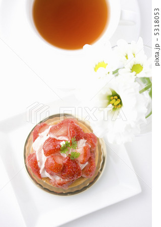 イチゴタルト 5318053