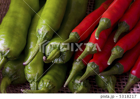 獅子唐 獅子唐 5318217