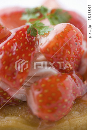 イチゴタルト イチゴタルト 5318342