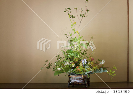 生け花 5318469