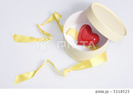 ギフトイメージ 5318525