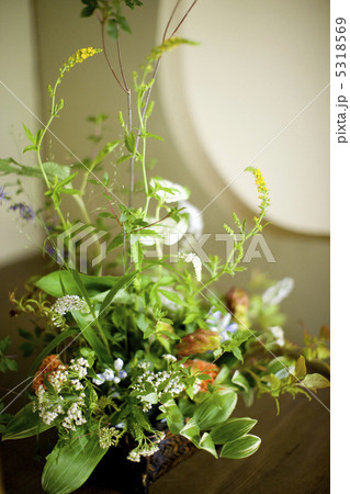 生け花 5318569