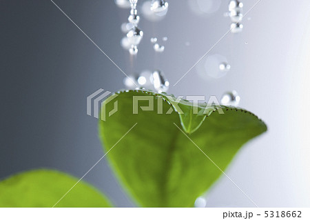 雨イメージ 5318662