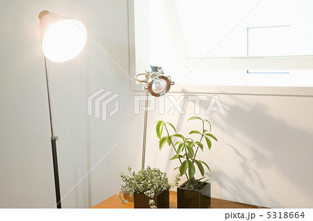 書斎 5318664