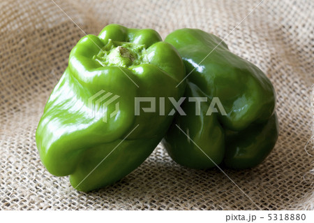 ピーマン 5318880