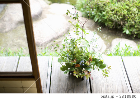 生け花 生け花 5318980