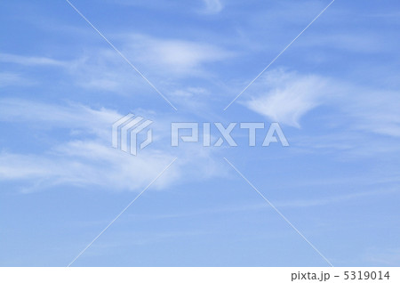 青空 5319014