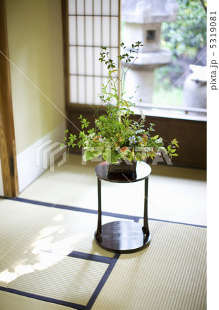 生け花 5319081