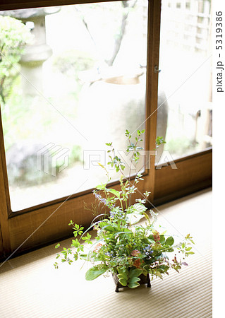 生け花 生け花 5319386