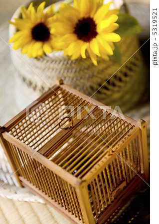 夏イメージ 5319521