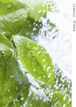 水しぶき 水しぶき 5319612