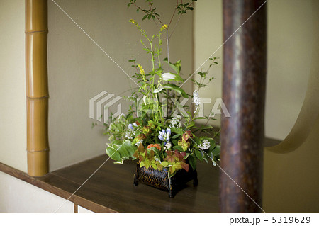 生け花 5319629