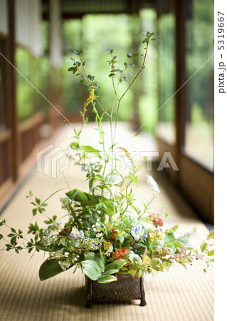 生け花 5319667