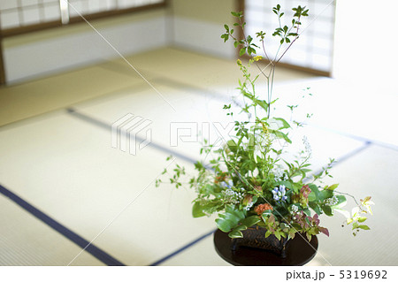 生け花 5319692
