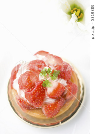 イチゴタルト 5319889