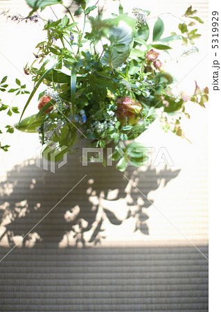 生け花 5319929