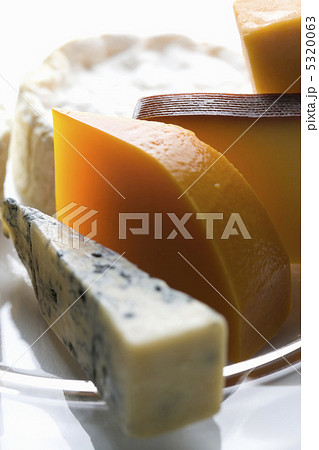 ゴルゴンゾーラ 5320063