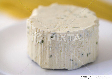 ブルサンチーズ ブルサンチーズ 5320209