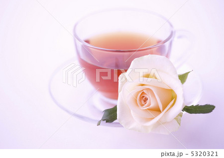 紅茶 5320321