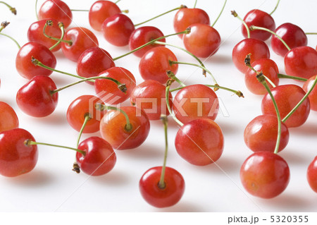 サクランボ サクランボ 5320355