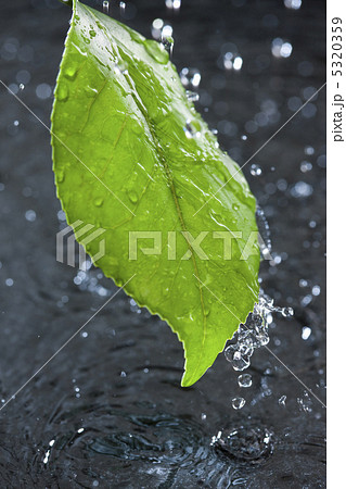 雨イメージ 5320359