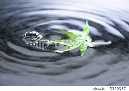 雨イメージ 雨イメージ 5320387