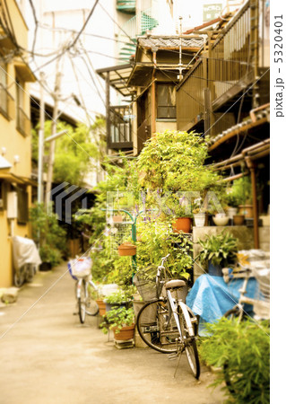 狭い路地 狭い路地 5320401
