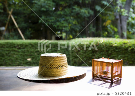 夏イメージ 夏イメージ 5320431