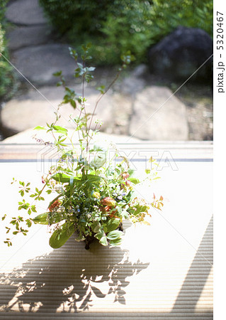 生け花 5320467