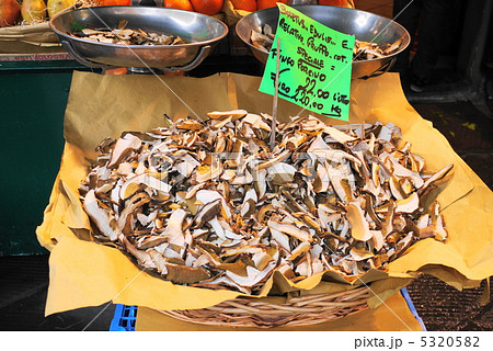 ポルチーニ茸 5320582