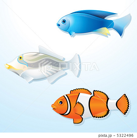 Tropical Fishes s2 5322496