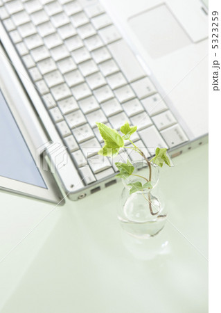 ノートパソコンと観葉植物 ノートパソコンと観葉植物 5323259