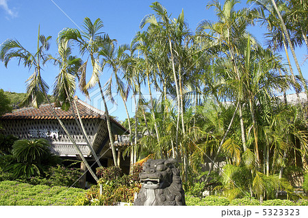 シーサー 5323323