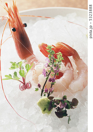 甘エビ 甘エビ 5323888