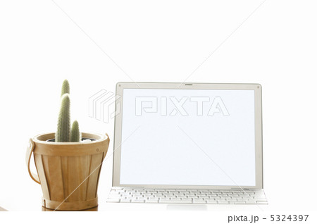 エコイメージ エコイメージ 5324397