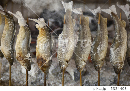 鮎の塩焼き 鮎の塩焼き 5324403