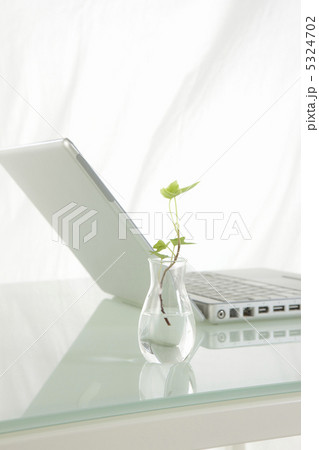 ノートパソコンと観葉植物 ノートパソコンと観葉植物 5324702