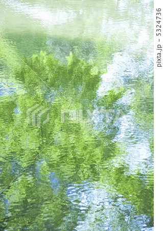 水面に映る新緑 5324736