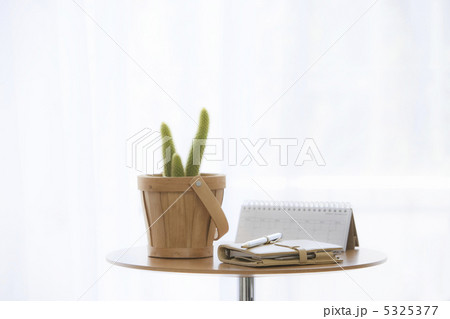 観葉植物 5325377