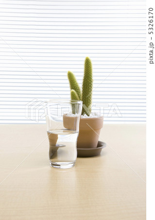 エコイメージ 5326170