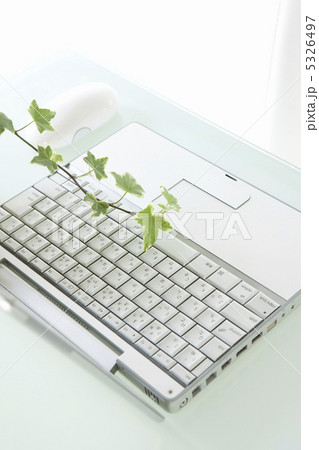 ノートパソコンと観葉植物 ノートパソコンと観葉植物 5326497